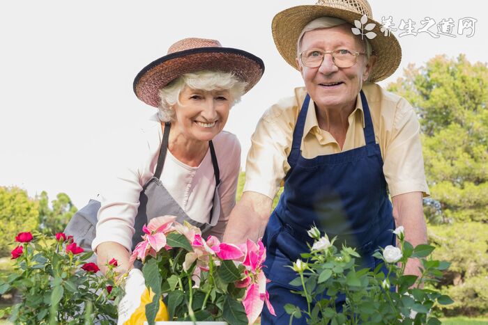 全球新冠日新增確診創紀錄 吃卷心菜能降低新冠死亡率嗎