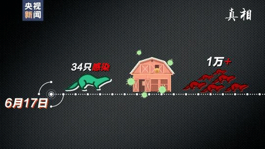 四問搞懂:丹麥變異新冠病毒“貂傳人”究竟多嚴(yán)重-易網(wǎng)<a href=http://www.gyfww.com/ target=_blank class=infotextkey>健康養(yǎng)生</a>網(wǎng) 四問搞懂:丹麥變異新冠病毒“貂傳人”究竟多嚴(yán)重