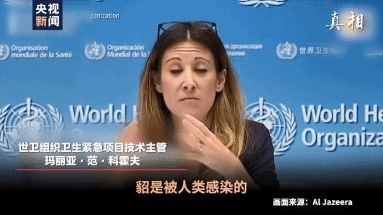 四問搞懂:丹麥變異新冠病毒“貂傳人”究竟多嚴(yán)重-易網(wǎng)健康<a href=http://www.gyfww.com/jkys/ target=_blank class=infotextkey>養(yǎng)生</a>網(wǎng) 四問搞懂:丹麥變異新冠病毒“貂傳人”究竟多嚴(yán)重