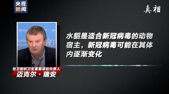 四問搞懂:丹麥變異新冠病毒“貂傳人”究竟多嚴(yán)重-易網(wǎng)健康養(yǎng)生網(wǎng) 四問搞懂:丹麥變異新冠病毒“貂傳人”究竟多嚴(yán)重