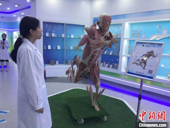 安徽醫科大學人體科學館、博物館中醫珍品館開館