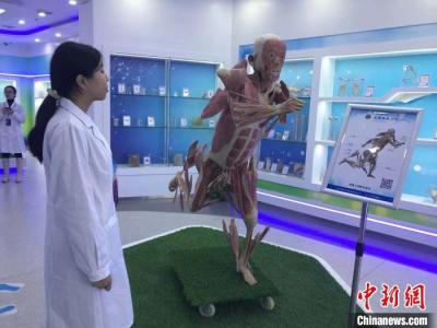 安徽醫科大學人體科學館、博物館中醫珍品館開館