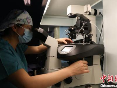 寧夏銀川：科技賦能 讓輔助生殖技術(shù)“茁壯成長(zhǎng)”