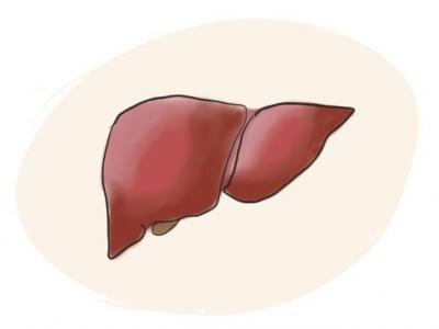 中國(guó)慢性肝病患者或超4億人 如何呵護(hù)“小心肝”？