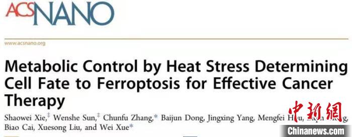 中國(guó)學(xué)者率先發(fā)現(xiàn)“殺死”前列腺癌細(xì)胞新策略