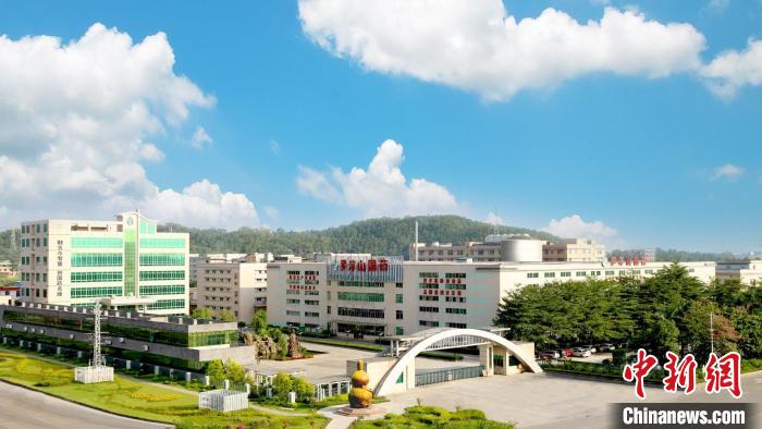 葛洪醫藥遺產在廣東羅浮山得到傳承 已研制180多個醫藥品種