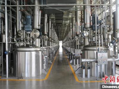 葛洪醫(yī)藥遺產(chǎn)在廣東羅浮山得到傳承 已研制180多個(gè)醫(yī)藥品種