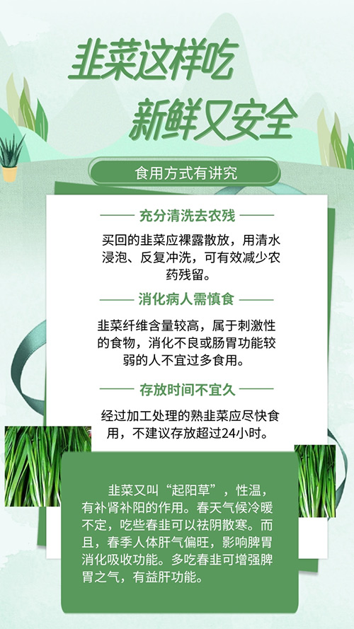 春食韭菜升發陽氣這樣吃新鮮又安全