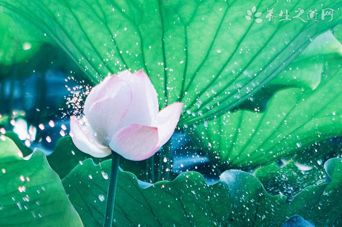 河南遭遇極端強降雨 嵩山新密現歷史大暴雨