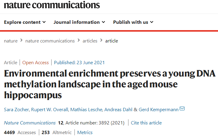 完全躺平，就能成為一個“快樂的廢物”嗎？
