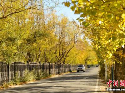 又到一年秋游好時節 專家提醒警惕秋季花粉過敏