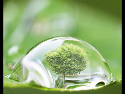 為啥要買綠化好的小區？PNAS：小區綠化好，小孩成年后精神病風險降低