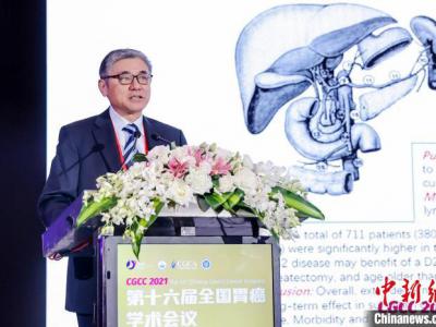 海內外專家學者線上線下聚首 日本學者：中國胃癌診療獲得長足進步