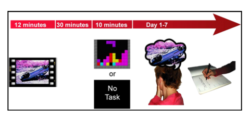 恐怖片不僅能緩解焦慮,還能幫脫單!奇怪的知識增加了-易網健康養生網 恐怖片不僅能緩解焦慮,還能幫脫單!奇怪的知識增加了