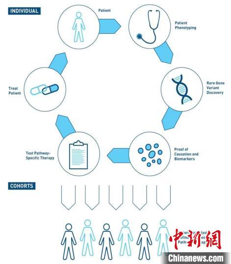 中外科學(xué)家協(xié)同攻關(guān) 抓住導(dǎo)致狼瘡發(fā)病的“元兇”