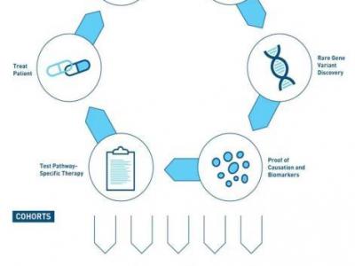 中外科學家協同攻關 抓住導致狼瘡發病的“元兇”