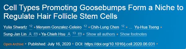 禿頭有救啦!一身雞皮疙瘩竟與生發有關,禿頭青年必看-易網健康養生網 禿頭有救啦!一身雞皮疙瘩竟與生發有關,禿頭青年必看