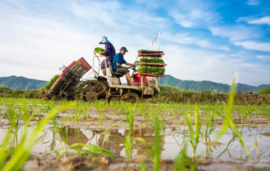 國務院聯防聯控機制回應防疫焦點問題:破堵點、保暢通、穩春耕-易網健康養生網 國務院聯防聯控機制回應防疫焦點問題:破堵點、保暢通、穩春耕