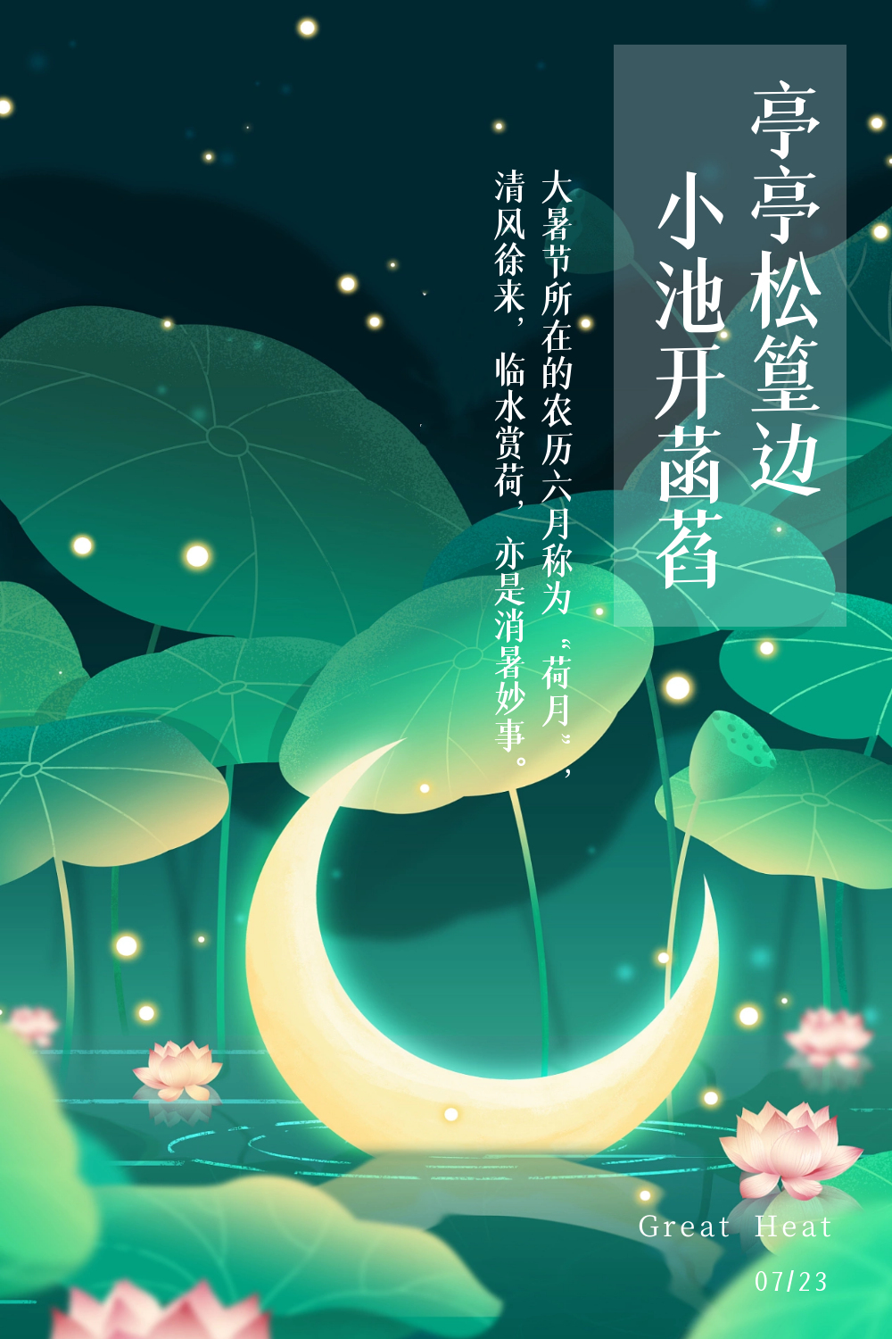 今日大暑宜靜心賞荷