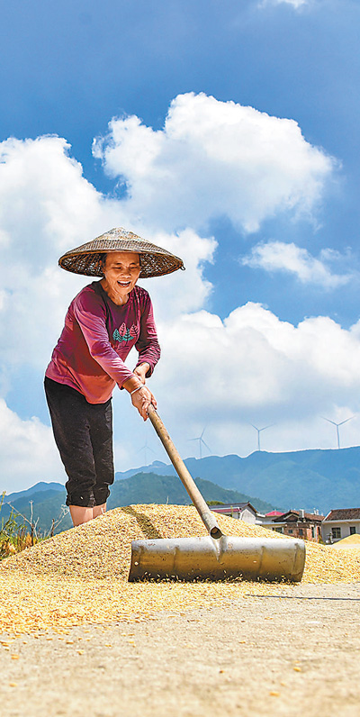 “兩節”商品足供應保障穩(新時代畫卷)