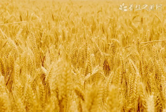 二十四節氣小滿是什么時候