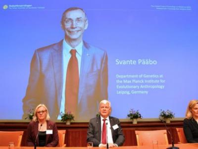 科普：現代人與已滅絕古人類有何差異——解讀2022年諾貝爾生理學或醫學獎