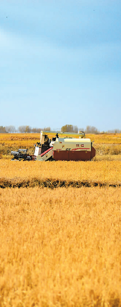 中國力度催人奮進