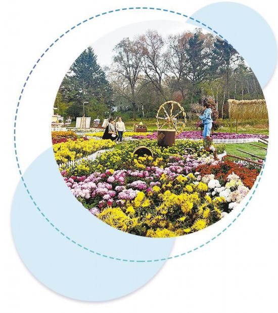 秋游消費潛力逐步釋放