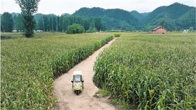 強基層，給全民健康更有力支撐