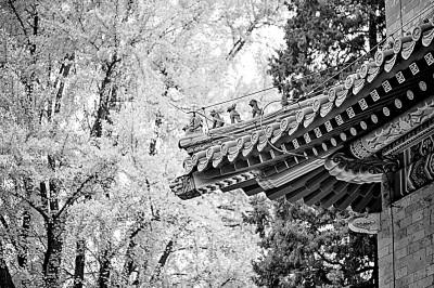 協和工友，默默的青磚綠瓦