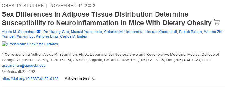一胖毀所有？不，被你嫌棄多年的脂肪，其實(shí)好處不少