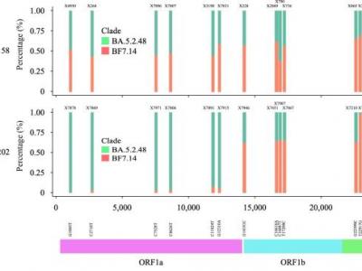 同時感染奧密克戎兩種毒株！如何看待這個“首次發現”？