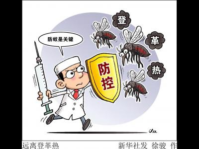 我國部分省份現登革熱散發病例 專家提示防蚊蟲孳生