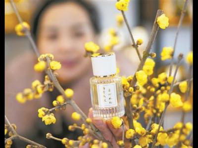 “奇葩”香水是如何制成的