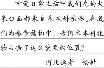 主食為何大多來自禾本科？（把自然講給你聽）