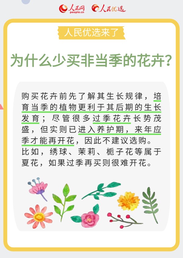 室內花卉綠植怎么選？實用小貼士請查收