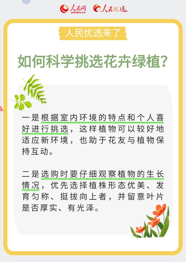 室內花卉綠植怎么選？實用小貼士請查收