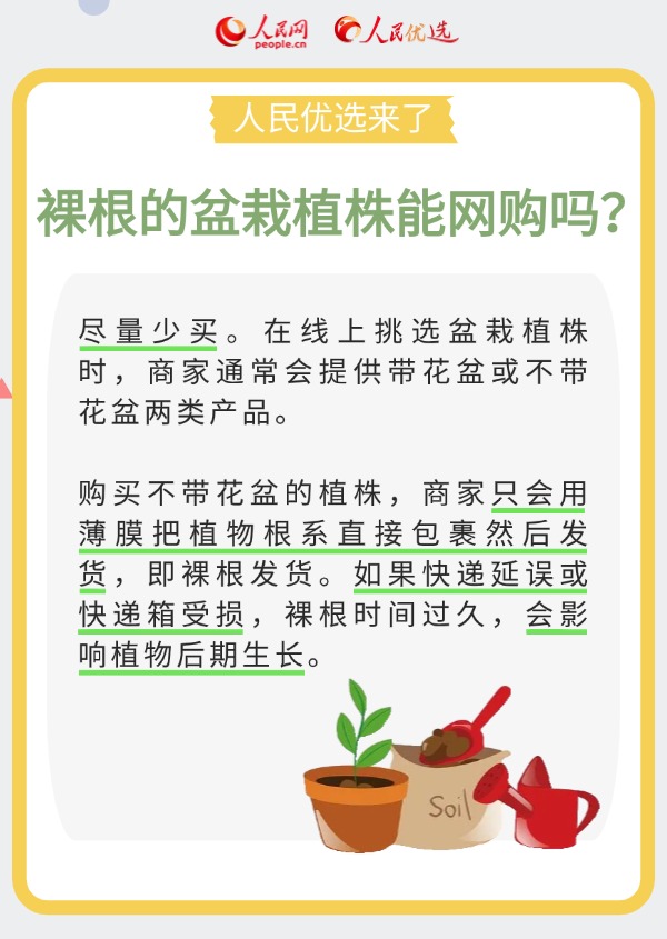 室內花卉綠植怎么選？實用小貼士請查收