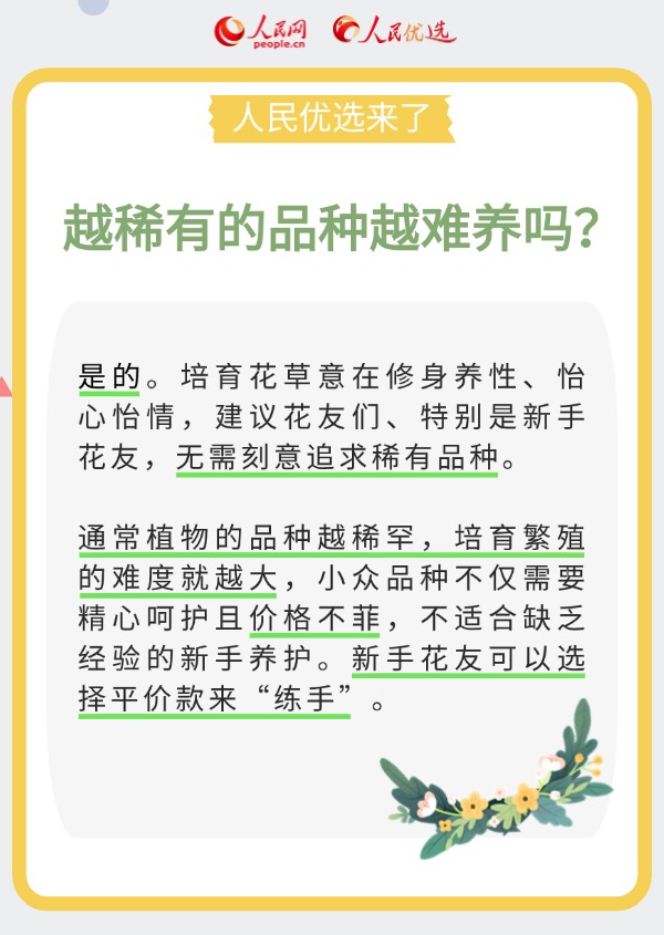 室內花卉綠植怎么選？實用小貼士請查收