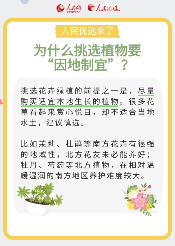 室內花卉綠植怎么選？實用小貼士請查收