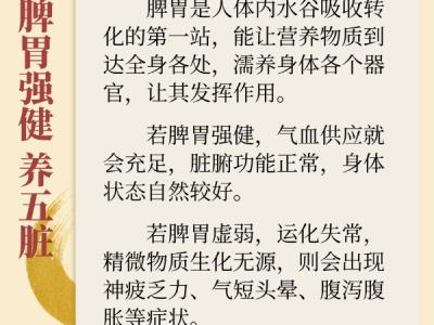 深秋時節(jié)養(yǎng)好脾胃 為健康過冬打基礎(chǔ)