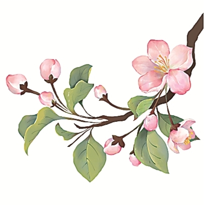 二十四節氣二十四問