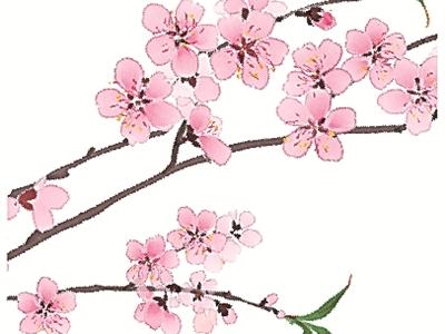 二十四節(jié)氣二十四問