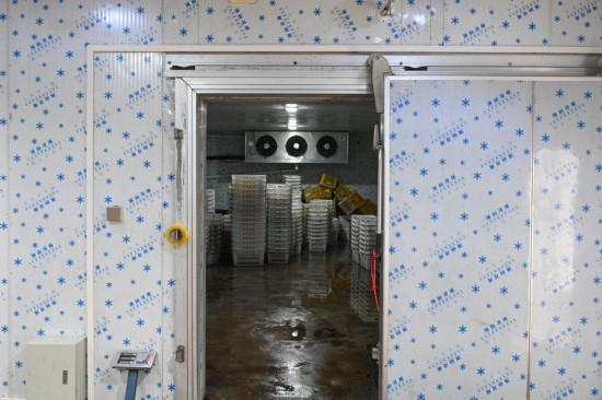 從“一日色變”到“四季常鮮”，解碼荔枝的現代保鮮秘訣