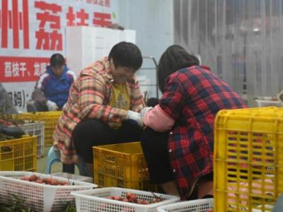 從“一日色變”到“四季常鮮”，解碼荔枝的現(xiàn)代保鮮秘訣