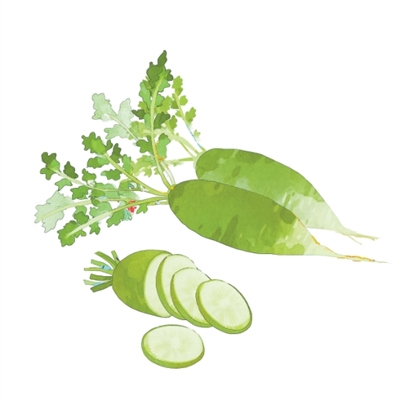 為什么“冬吃蘿卜夏吃姜”(文化中國行·二十四節氣二十四問)-易網健康<a href=http://www.gyfww.com/jkys/ target=_blank class=infotextkey>養生</a>網 為什么“冬吃蘿卜夏吃姜”(文化中國行·二十四節氣二十四問)