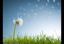 家里有這三樣東西請定期扔掉