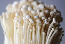 這種蔬菜堪比人體腦黃金！不知道太虧！