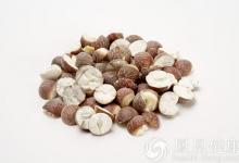 它是“水中人參”，補腎效果強于山藥！