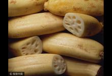 入秋三分虛，進補正當時！常吃十種寶，勝過冬蟲草